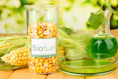 Drub biofuel availability