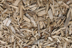 biomass boilers Drub