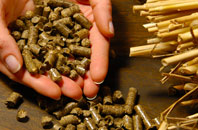 free Drub biomass boiler quotes